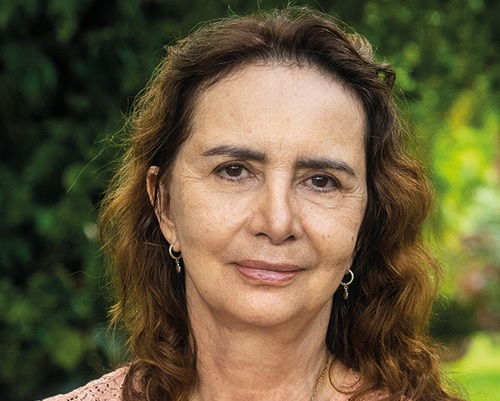 Imagem da publicação