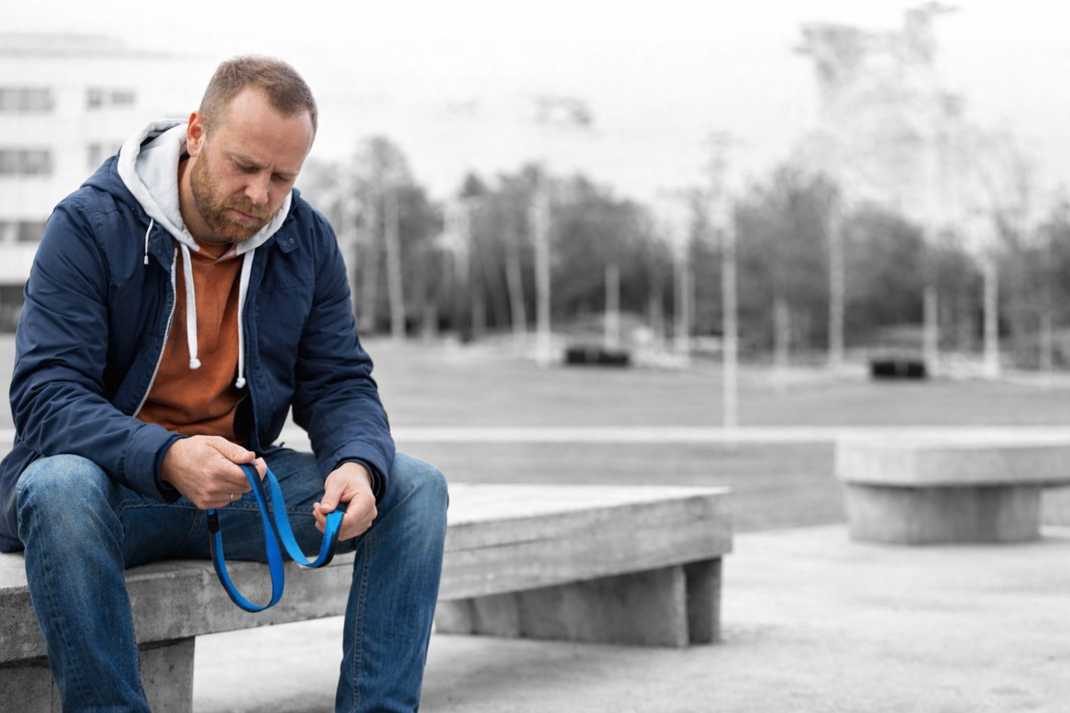 Imagem da publicação